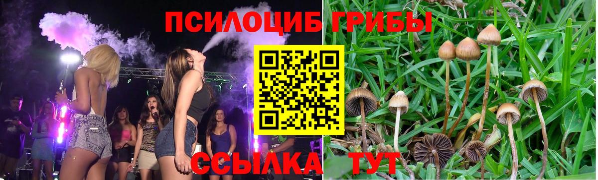 Галлюциногенные грибы Psilocybe  Вход с VPN  где можно купить   Галлюциногенные грибы мицелий  Гуково 